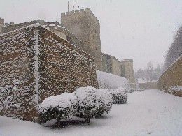 © Cortes de Aragón